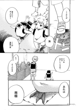 ペンギン日報 にわか雨 ペンギン日報 にわか雨